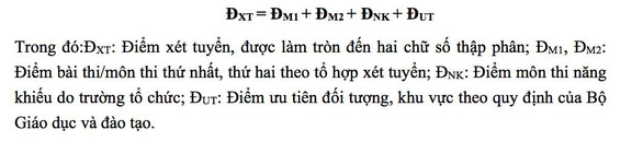 ĐH Sư phạm TP.HCM tuyển thí sinh có quốc tịch nước ngoài - Ảnh 4.