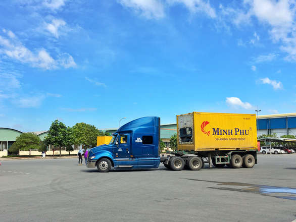 Minh Phú bị điều tra lẩn tránh thuế chống bán phá giá vào Mỹ - Ảnh 2. Minh Phú bị điều tra lẩn tránh thuế chống bán phá giá vào Mỹ - Ảnh 2.