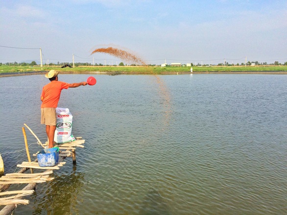 Minh Phú bị điều tra lẩn tránh thuế chống bán phá giá vào Mỹ - Ảnh 1. Minh Phú bị điều tra lẩn tránh thuế chống bán phá giá vào Mỹ - Ảnh 1.