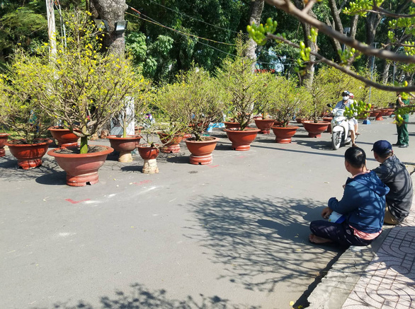 Sợ ngậm hàng, nhiều nhà vườn bắt đầu giảm giá hoa - Ảnh 3. Sợ ngậm hàng, nhiều nhà vườn bắt đầu giảm giá hoa - Ảnh 3.