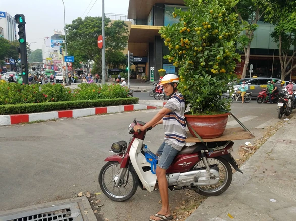 Sợ ngậm hàng, nhiều nhà vườn bắt đầu giảm giá hoa - Ảnh 9. Sợ ngậm hàng, nhiều nhà vườn bắt đầu giảm giá hoa - Ảnh 9.