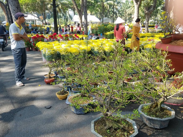 Sợ ngậm hàng, nhiều nhà vườn bắt đầu giảm giá hoa - Ảnh 6. Sợ ngậm hàng, nhiều nhà vườn bắt đầu giảm giá hoa - Ảnh 6.
