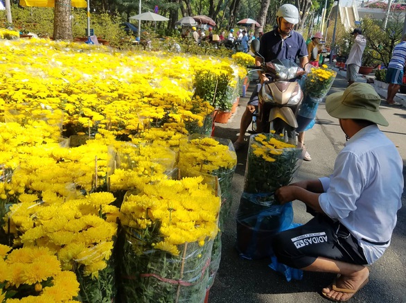 Sợ ngậm hàng, nhiều nhà vườn bắt đầu giảm giá hoa - Ảnh 11. Sợ ngậm hàng, nhiều nhà vườn bắt đầu giảm giá hoa - Ảnh 11.