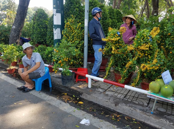 Sợ ngậm hàng, nhiều nhà vườn bắt đầu giảm giá hoa - Ảnh 12. Sợ ngậm hàng, nhiều nhà vườn bắt đầu giảm giá hoa - Ảnh 12.
