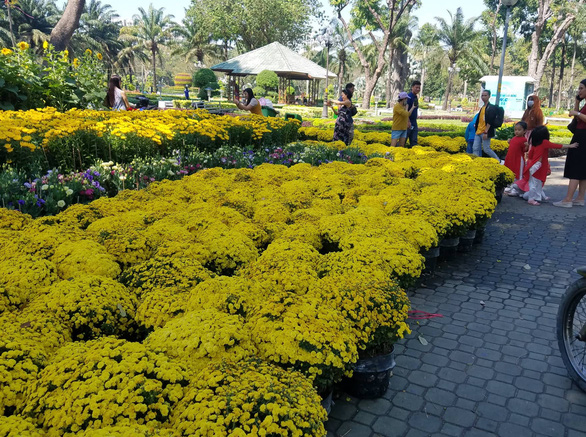 Sợ ngậm hàng, nhiều nhà vườn bắt đầu giảm giá hoa - Ảnh 1. Sợ ngậm hàng, nhiều nhà vườn bắt đầu giảm giá hoa - Ảnh 1.