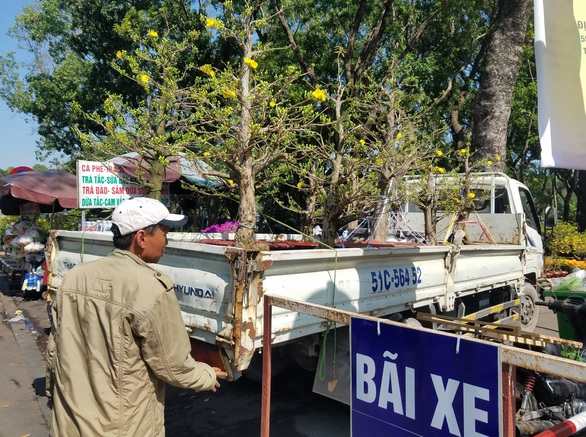 Sợ ngậm hàng, nhiều nhà vườn bắt đầu giảm giá hoa - Ảnh 13. Sợ ngậm hàng, nhiều nhà vườn bắt đầu giảm giá hoa - Ảnh 13.