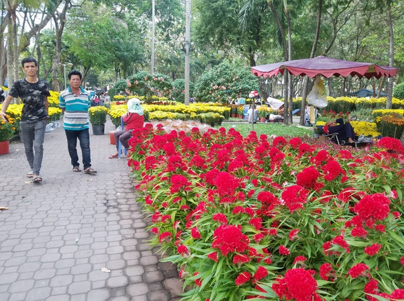 Sợ ngậm hàng, nhiều nhà vườn bắt đầu giảm giá hoa - Ảnh 2. Sợ ngậm hàng, nhiều nhà vườn bắt đầu giảm giá hoa - Ảnh 2.