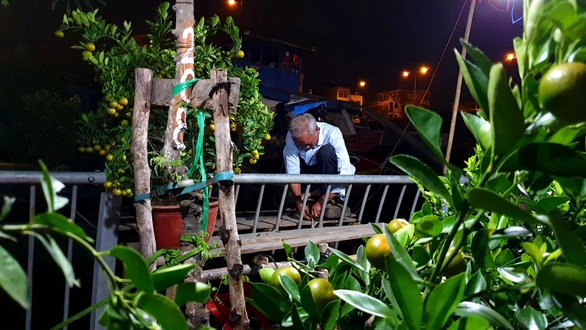 Không mua thì thôi, nói chi câu ‘Hổng bán về quê cũng mang nợ? - Ảnh 1. Không mua thì thôi, nói chi câu ‘Hổng bán về quê cũng mang nợ? - Ảnh 1.