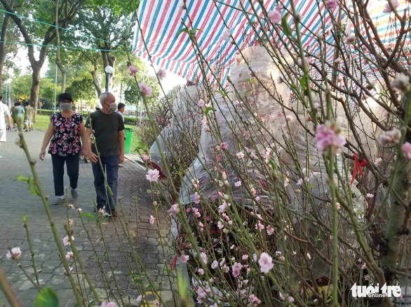 Chống gậy tìm mua hoa đào chơi tết - Ảnh 4. Chống gậy tìm mua hoa đào chơi tết - Ảnh 4.