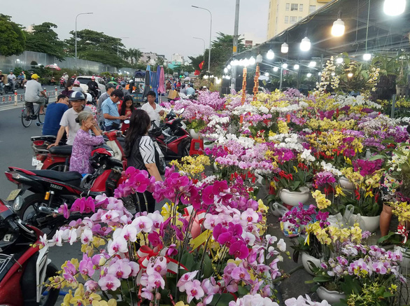 Cận tết, dân Sài Gòn rủ nhau đi săn lan hồ điệp đến khuya - Ảnh 1. Cận tết, dân Sài Gòn rủ nhau đi săn lan hồ điệp đến khuya - Ảnh 1.