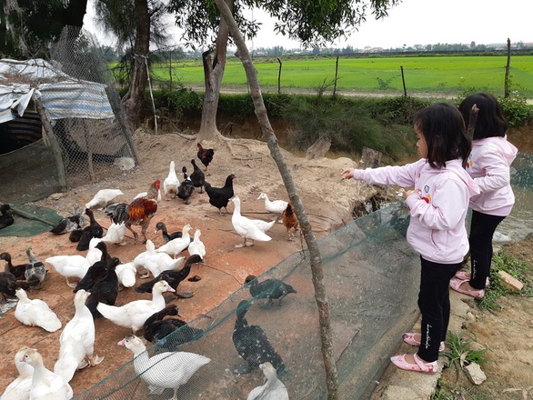 Dẹp tiệc tùng nấu nướng, dẫn con ra đồng - Ảnh 1. Dẹp tiệc tùng nấu nướng, dẫn con ra đồng - Ảnh 1.