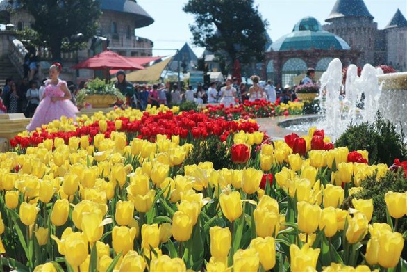 Bắt trọn mùa hoa tulip đẹp “rụng tim” ở Bà Nà Hills - Ảnh 4. Bắt trọn mùa hoa tulip đẹp “rụng tim” ở Bà Nà Hills - Ảnh 4.