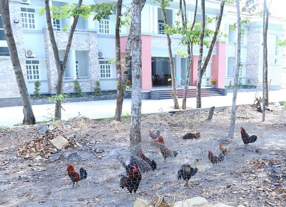 Đầu năm, hàng chục người bị công an “đột kích” trên trường gà - Ảnh 2.
