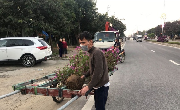 Trộm cây cảnh trên quốc lộ bán lấy tiền tiêu tết - Ảnh 1. Trộm cây cảnh trên quốc lộ bán lấy tiền tiêu tết - Ảnh 1.