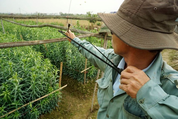 Chính quyền tỉnh Thừa Thiên Huế ra chỉ thị bảo vệ chim trời - Ảnh 1. Chính quyền tỉnh Thừa Thiên Huế ra chỉ thị bảo vệ chim trời - Ảnh 1.