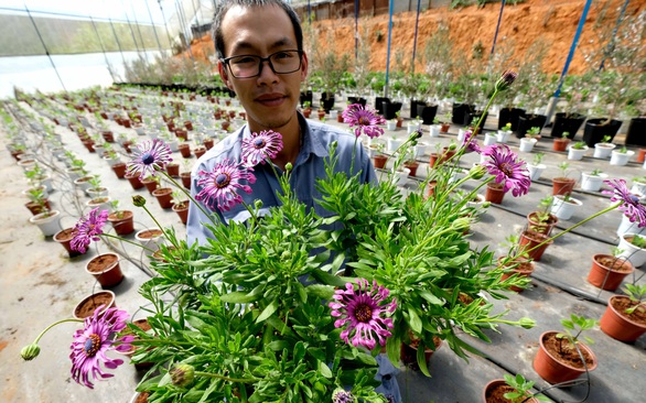 Hoa giống ngoại chưa tết đã hết hàng - Ảnh 1. Hoa giống ngoại chưa tết đã hết hàng - Ảnh 1.