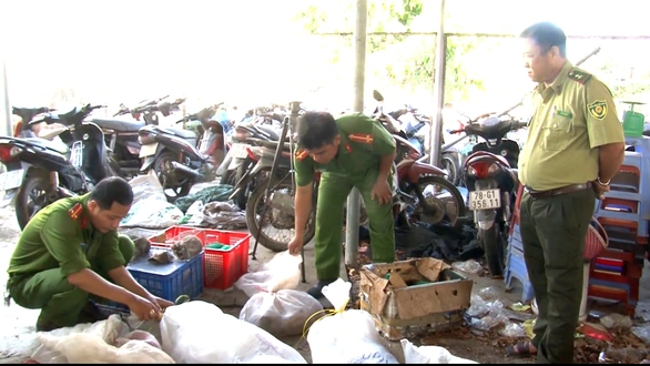 Bị tạm giữ nhiều động vật quý hiếm, chủ trại chết nghi treo cổ - Ảnh 1. Bị tạm giữ nhiều động vật quý hiếm, chủ trại chết nghi treo cổ - Ảnh 1.