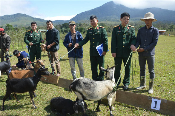 Đoàn kinh tế - quốc phòng 337: Dựng ngày mới giữa núi rừng Trường Sơn - Ảnh 2.