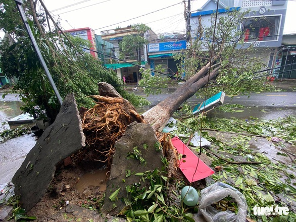 Bão vô Quảng Ngãi: Cổng chào bằng thép, cây xanh ngã đổ - Ảnh 1.