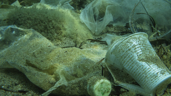 Hơn 14 triệu tấn nhựa nhỏ xíu đang nằm dưới đáy đại dương - Ảnh 1.