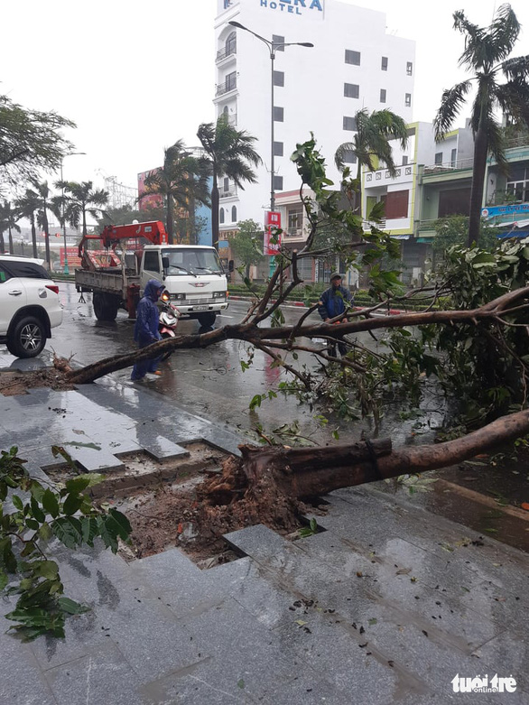 Bão số 12 đang ngay trên biển Bình Định - Ninh Thuận, đất liền gió giật cấp 9 - Ảnh 1.