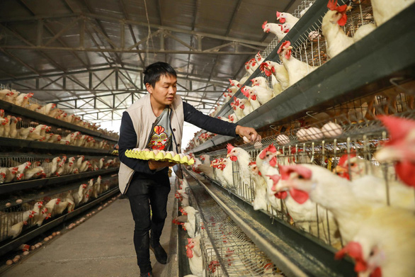 Từ gà con đến linh kiện, Trung Quốc vẫn phải nhập khẩu dài dài - Ảnh 1.