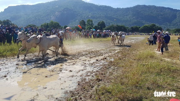 Hàng ngàn người xem biểu diễn dù lượn ở miền Tây - Ảnh 7. Hàng ngàn người xem biểu diễn dù lượn ở miền Tây - Ảnh 7.