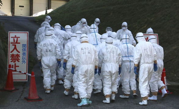 Nhật tiêu hủy 330.000 con gà sau khi phát hiện ổ dịch cúm gia cầm - Ảnh 1.