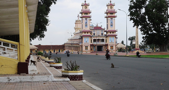 Tây Ninh: Khỉ liên tục tấn công trường học, nhà dân gây thương tích - Ảnh 4.