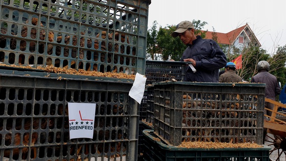 Trao sinh kế cho người dân vùng lũ Quảng Bình - Ảnh 4. Trao sinh kế cho người dân vùng lũ Quảng Bình - Ảnh 4.