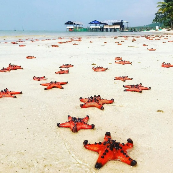 Tour Phú Quốc từ TP.HCM dưới 3 triệu đồng câu cá, lặn ngắm san hô - Ảnh 1. Tour Phú Quốc từ TP.HCM dưới 3 triệu đồng câu cá, lặn ngắm san hô - Ảnh 1.