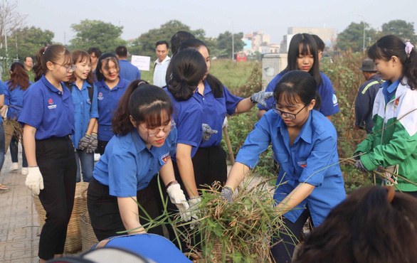 Chỉ thị 19 sẽ hiệu quả hơn - Ảnh 1.