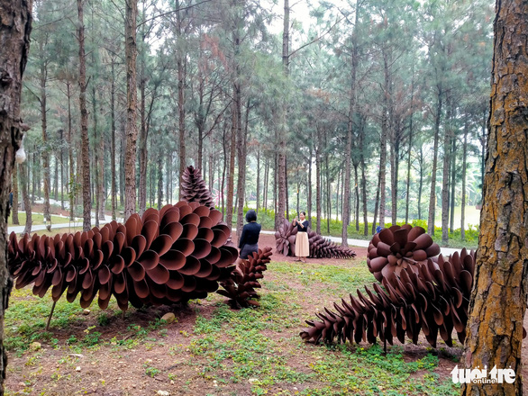 Go to Dai Lai pine forest to see paintings and sculptures - Photo 6.