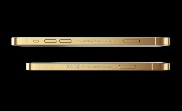 Xuất hiện iPhone 12 mạ vàng không camera, giá từ 126 triệu đồng - Ảnh 3.