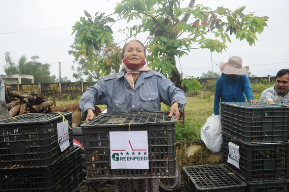 Trao sinh kế giúp người dân Quảng Nam vượt qua khó khăn sau bão lũ - Ảnh 5. Trao sinh kế giúp người dân Quảng Nam vượt qua khó khăn sau bão lũ - Ảnh 5.