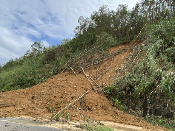 Acacia is the main cause of landslides in the mountainous areas of Quang Nam?  Photo 1.