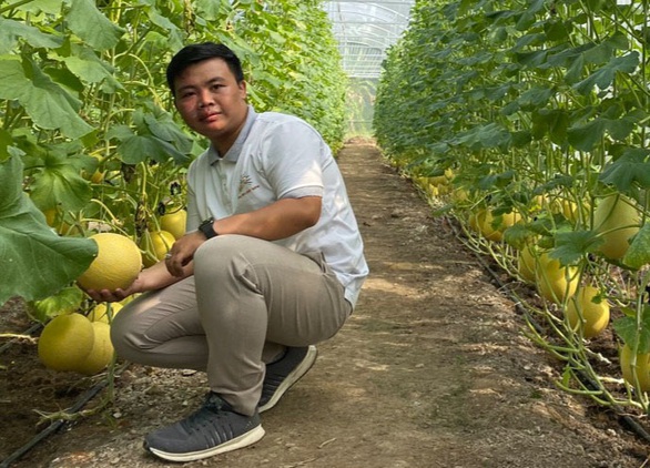 Trồng dưa lưới trên vùng đất mặn - Ảnh 1. Trồng dưa lưới trên vùng đất mặn - Ảnh 1.