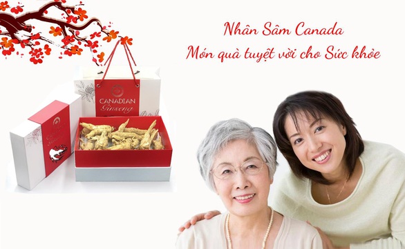 Canada xuất khẩu nhân sâm hàng trăm triệu đô mỗi năm cho châu Á - Ảnh 3. Canada xuất khẩu nhân sâm hàng trăm triệu đô mỗi năm cho châu Á - Ảnh 3.