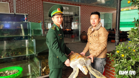 Chủ nhà hàng hải sản mua rùa quý nặng 30kg đem thả về biển - Ảnh 3. Chủ nhà hàng hải sản mua rùa quý nặng 30kg đem thả về biển - Ảnh 3.