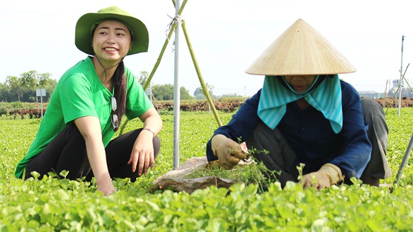 Mấy ai nghĩ cây rau bình dị ra thế giới! - Ảnh 1. Mấy ai nghĩ cây rau bình dị ra thế giới! - Ảnh 1.