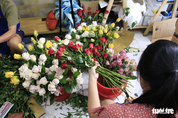 Giải cứu hơn 10.000 hoa hồng Đà Lạt trong hai ngày - Ảnh 1. Giải cứu hơn 10.000 hoa hồng Đà Lạt trong hai ngày - Ảnh 1.