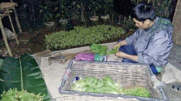 Giới trẻ và chọn lựa lối sống mới: Từ phố về quê - Ảnh 1. Giới trẻ và chọn lựa lối sống mới: Từ phố về quê - Ảnh 1.