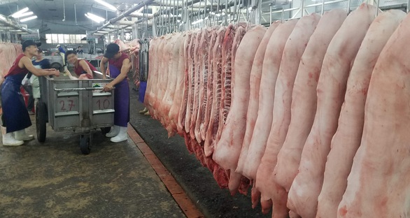 Nếu giá thịt heo trong nước không giảm, sẽ nhập heo Mỹ, Brazil, Lào, Campuchia... - Ảnh 1. Nếu giá thịt heo trong nước không giảm, sẽ nhập heo Mỹ, Brazil, Lào, Campuchia... - Ảnh 1.