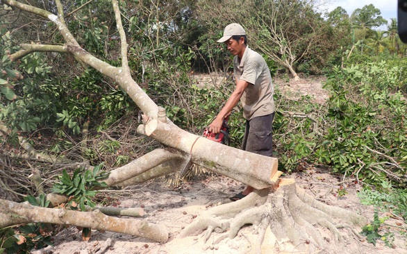 Miền Tây bớt mặn, cần tranh thủ tích nước - Ảnh 1. Miền Tây bớt mặn, cần tranh thủ tích nước - Ảnh 1.