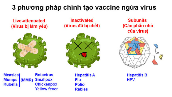 Cuộc chạy đua tạo văcxin chống COVID-19 - Ảnh 4.