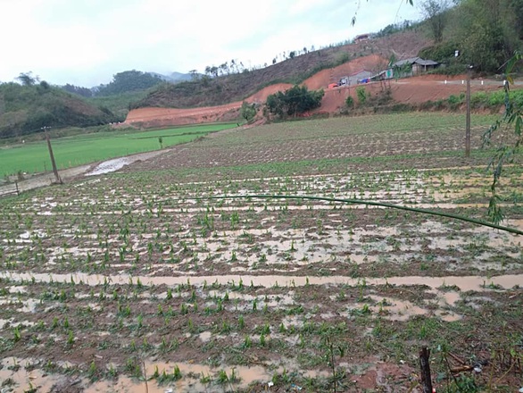 Dông lốc quật đứt cầu treo, mưa đá dày đặc lại xuất hiện ở Lào Cai - Ảnh 4. Dông lốc quật đứt cầu treo, mưa đá dày đặc lại xuất hiện ở Lào Cai - Ảnh 4.