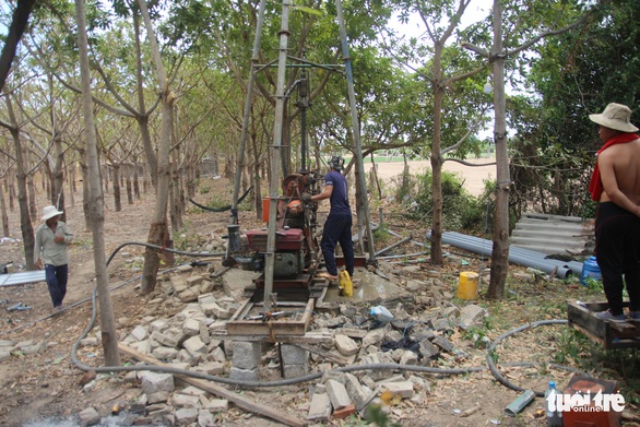 Gia súc ở Ninh Thuận bị đe dọa do thiếu nước trong nắng hạn kéo dài - Ảnh 3. Gia súc ở Ninh Thuận bị đe dọa do thiếu nước trong nắng hạn kéo dài - Ảnh 3.