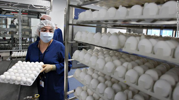 Hàng triệu con gà giúp chế văcxin cúm tại Mỹ không có tác dụng với corona - Ảnh 2.