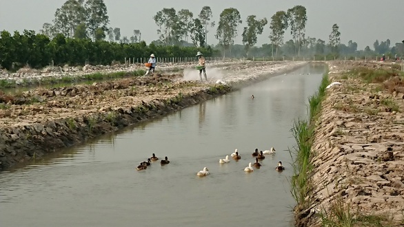 Giáo viên xoay sở mùa dịch - Kỳ 3: Thầy cô ra ruộng - Ảnh 3. Giáo viên xoay sở mùa dịch - Kỳ 3: Thầy cô ra ruộng - Ảnh 3.