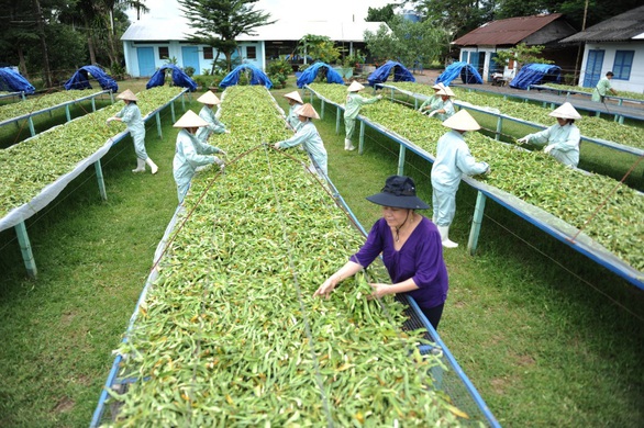 Tìm lối thoát cho chứng đi tiểu nhiều lần về đêm - Ảnh 4. Tìm lối thoát cho chứng đi tiểu nhiều lần về đêm - Ảnh 4.
